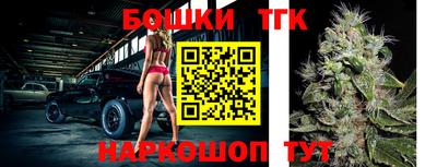 тгк Жуковский