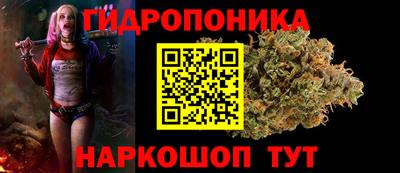 прущие крисы Изобильный