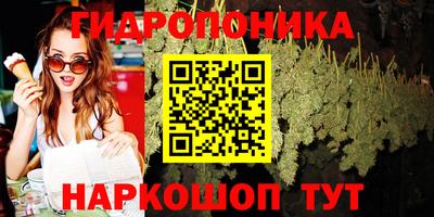 скорость Заволжье