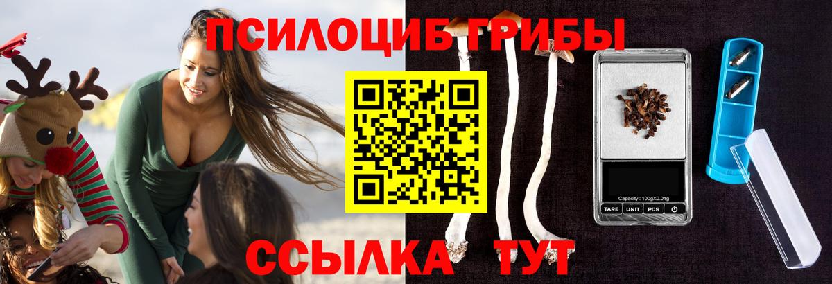 Псилоцибиновые грибы прущие грибы  Вход с VPN  где найти   Ижевск 